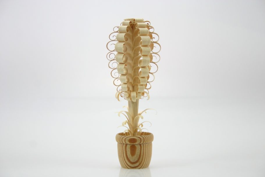 Spanblume, natur Spanblume, natur