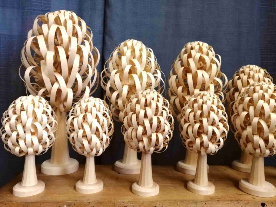 Spanbäume, wild (Laubbaum) Spanbäume, wild (Laubbaum)